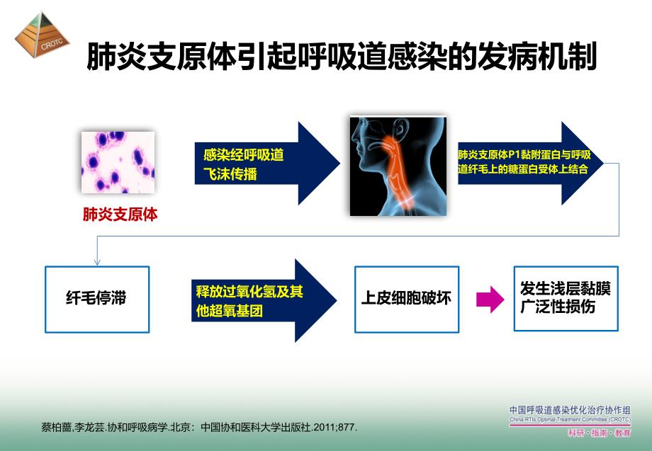 非典型病原体在呼吸道感染治疗中的新挑战课件PPT_第3页