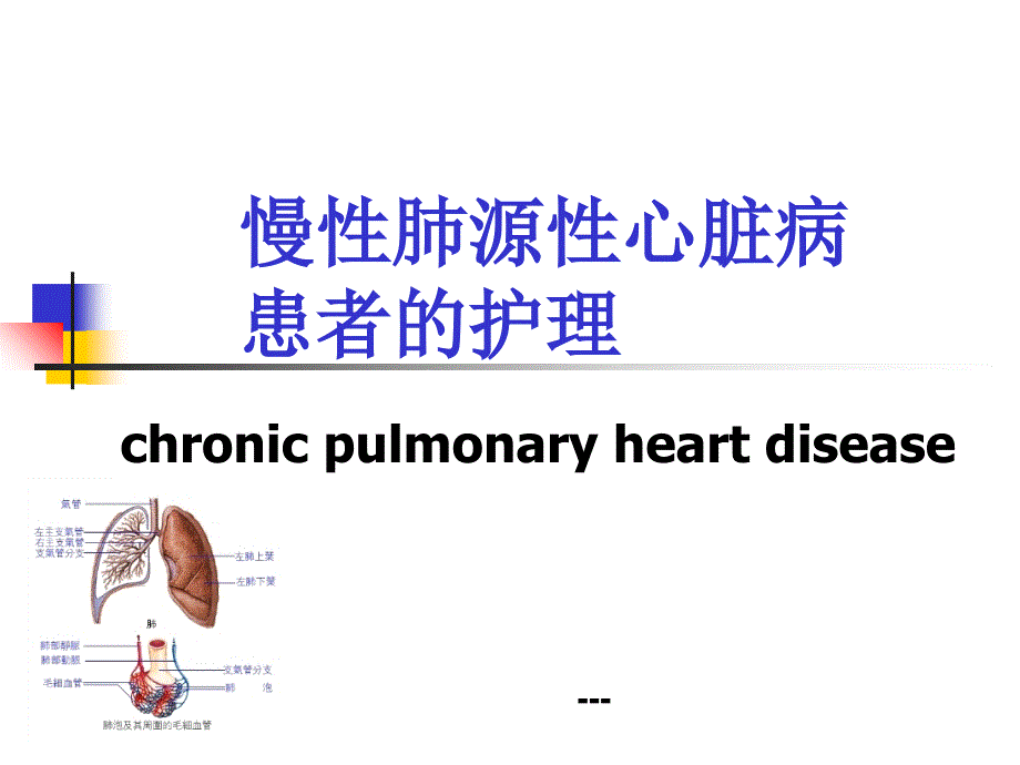 -慢性肺源性心脏病病人护理_第1页