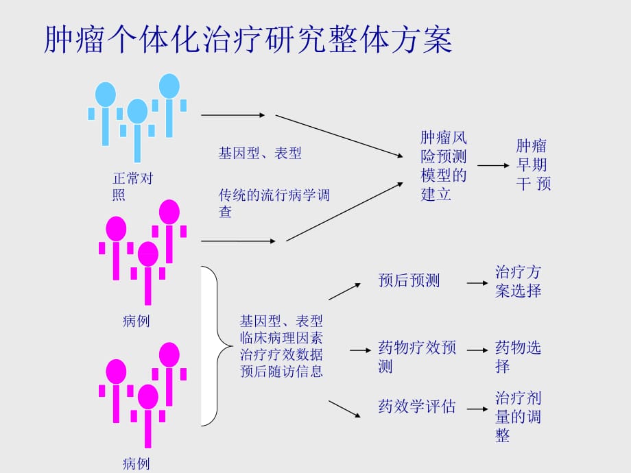 专题讲座、肿瘤的个体化治疗_第4页