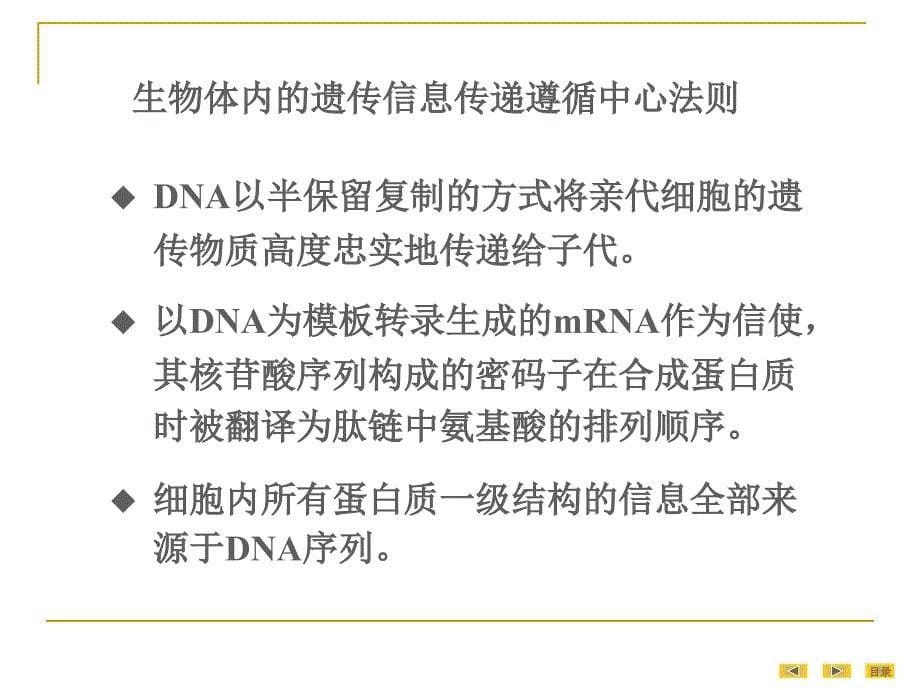 真核基因与基因组课件PPT_第5页