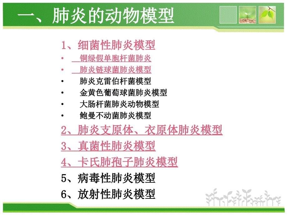 肺炎动物模型与抗菌药临床药理课件PPT_第5页