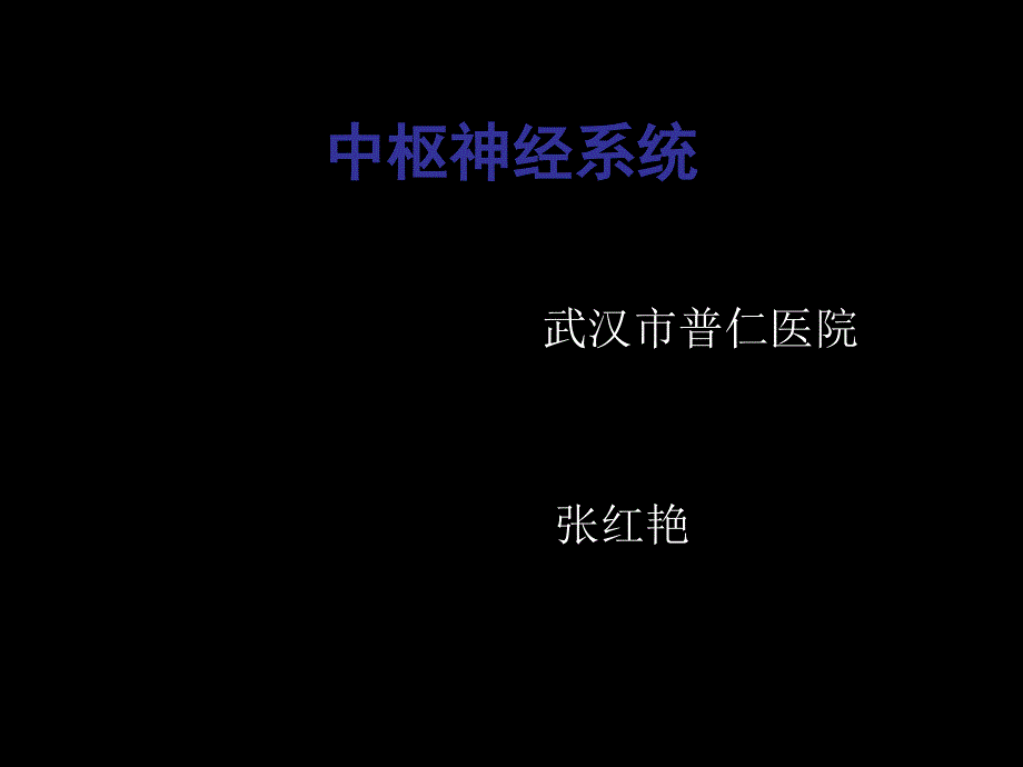 神经系统解剖课件PPT_第1页