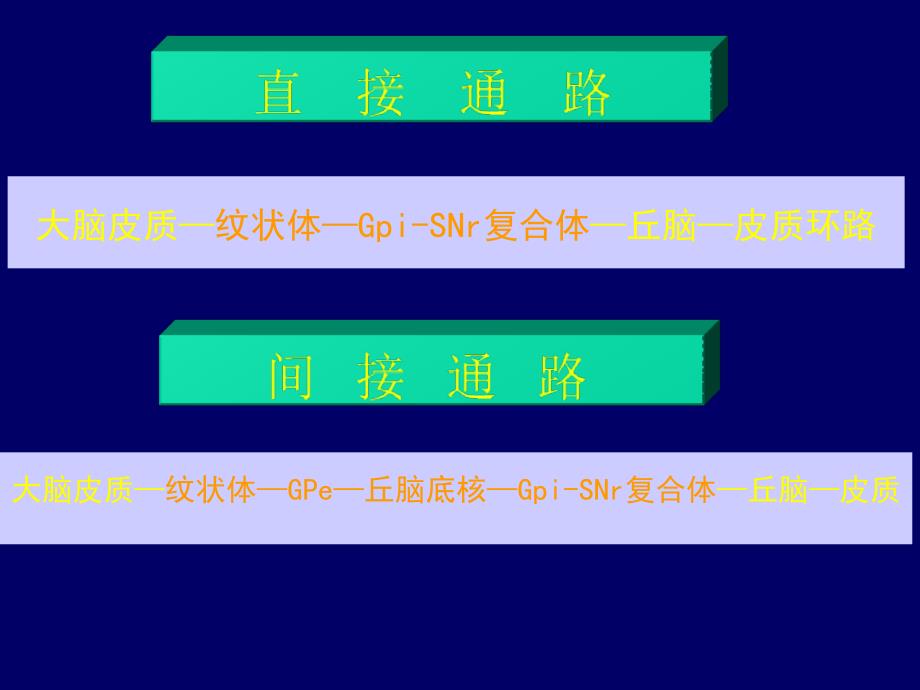 锥体外系疾病病发过程中需要了解的常识课件PPT_第4页