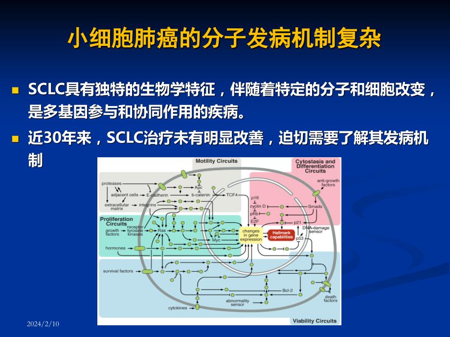 CSCO 小细胞肺癌_第3页