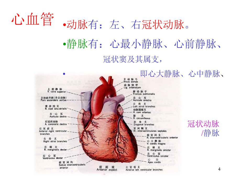 心脏病学_高血压_冠心病课件PPT_第4页