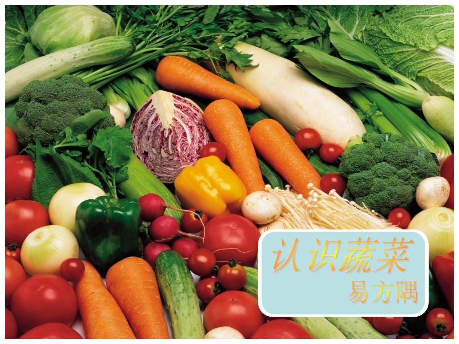 认识蔬菜(小学一年级)_第1页