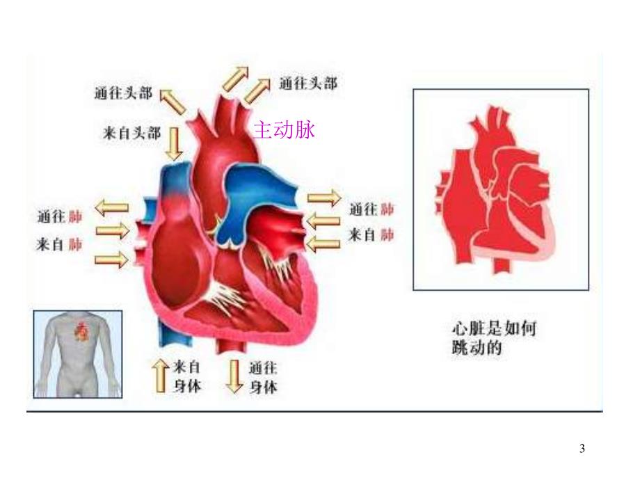 心脏病学高血压冠心病课件PPT_第3页