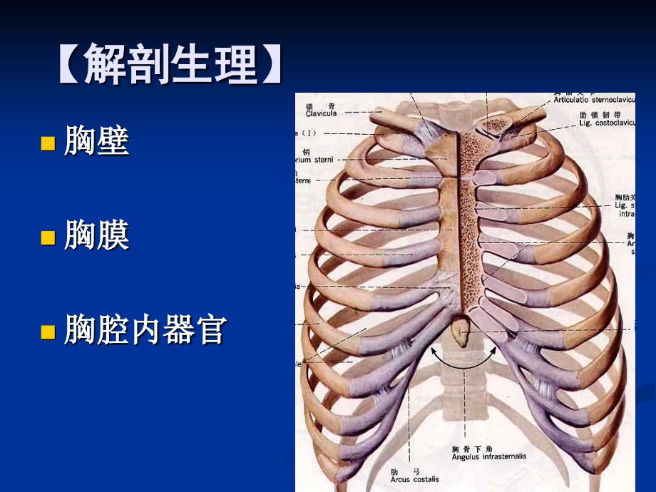 胸部疾病患者的护理课件PPT_第2页