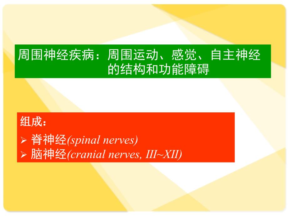 神经病学 周围神经病_第4页