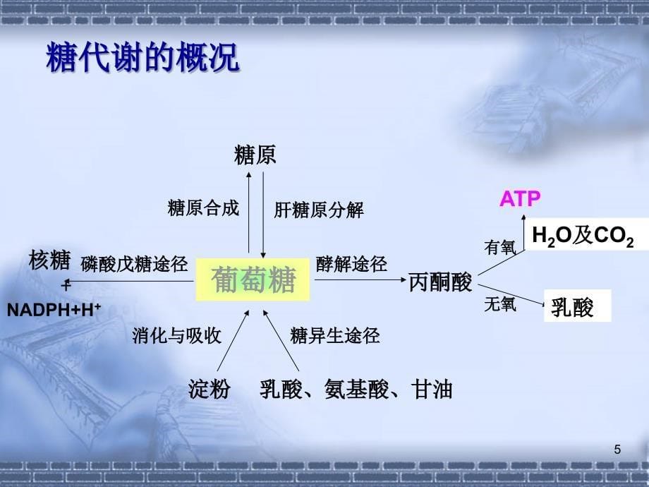 孕早期保健课件PPT_第5页