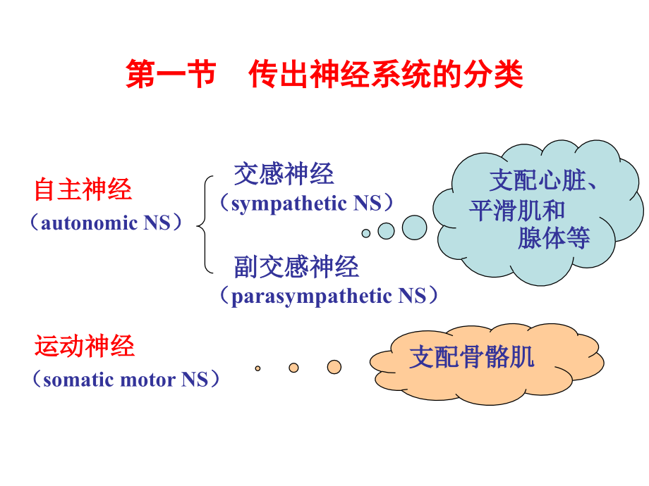 第5章 传出神经系统药理学概论_第4页