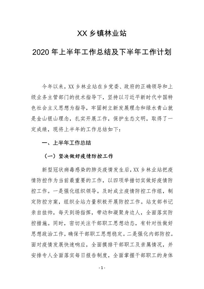 XX乡镇林业站2020年上半年工作总结及下半年工作计划