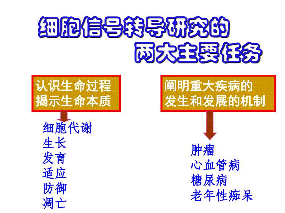 细胞信号转导异常与疾病(七版)_第3页