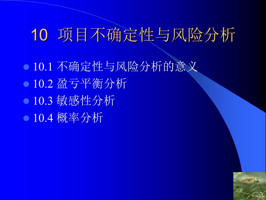 2010第10章 项目不确定性与风险分析_第3页