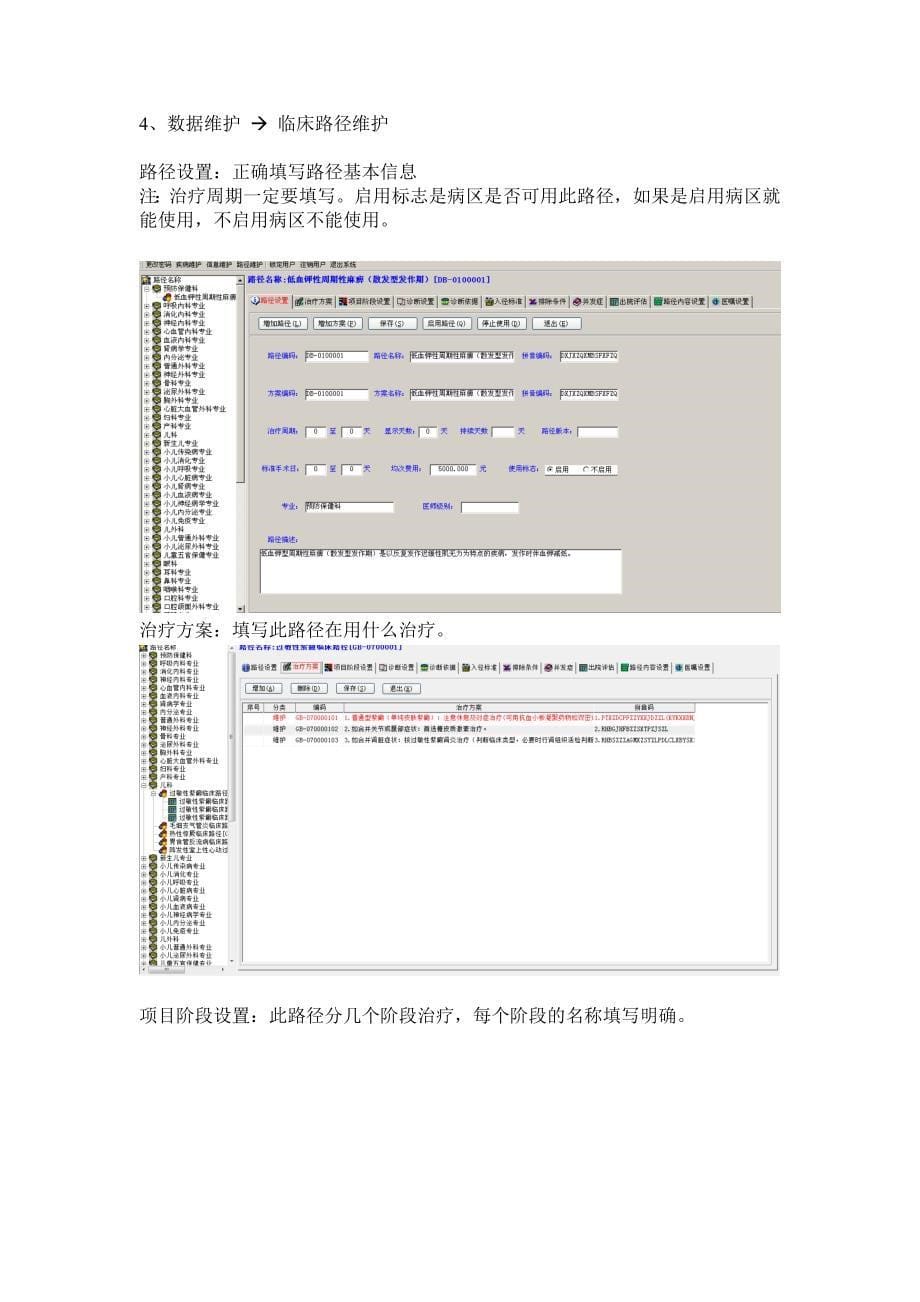 临床路径操作说明_第5页