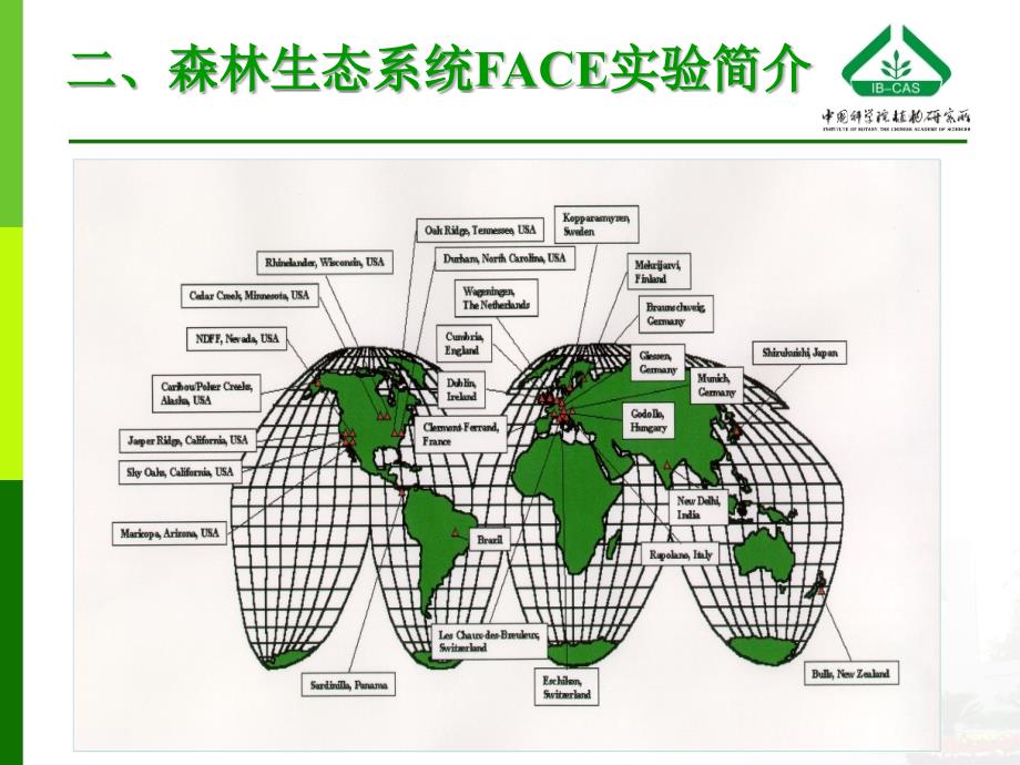 二氧化碳升高对森林生态系统碳循环的影响_第4页