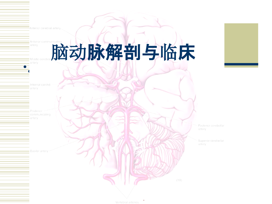 脑动脉解剖与临床ppt课件_第1页