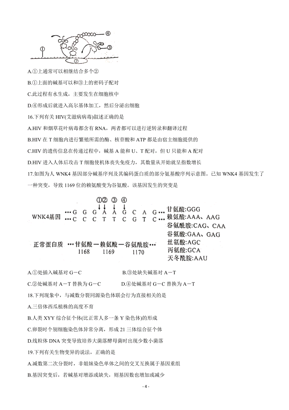 2020届陕西省咸阳市武功县高三上学期第一次模拟考试生物word版_第4页