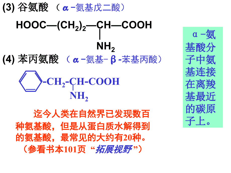 1、你知道组成蛋白质的主要元素有哪些吗？_第4页