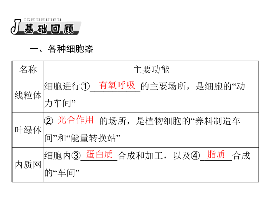 生物2013年高考复习课件：必修1 第3章 第2节 细胞器——系统内的分工合作_第2页