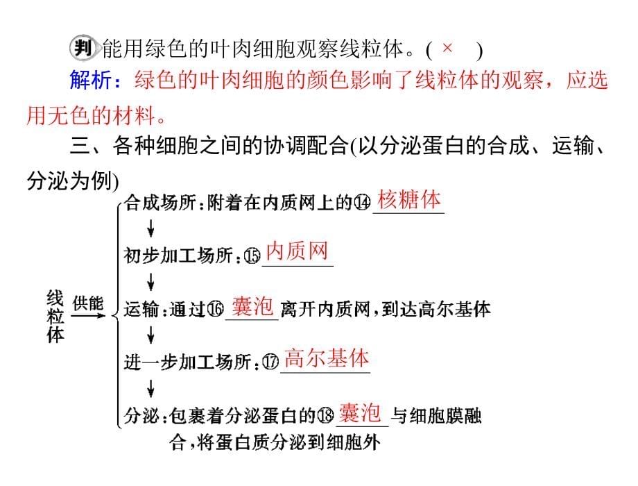 生物2013年高考复习课件：必修1 第3章 第2节 细胞器——系统内的分工合作_第5页