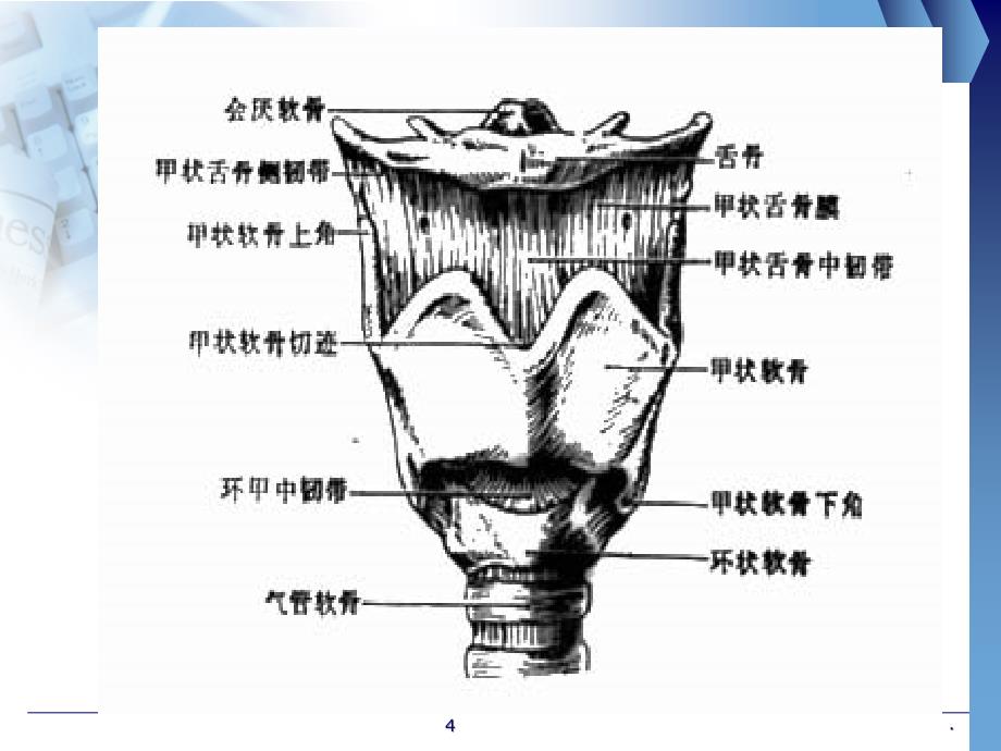 气管切开病人的观察与护理(护理部)PPT课件_第4页