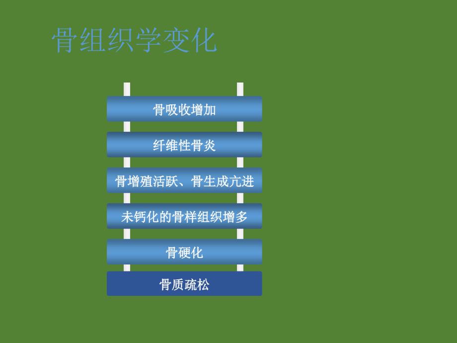 肾性骨病的致病机理及治疗方案课件ppt_第4页