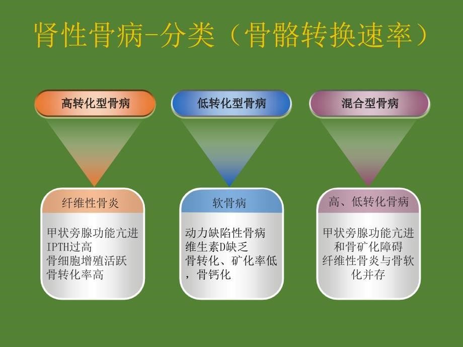 肾性骨病的致病机理及治疗方案课件ppt_第5页