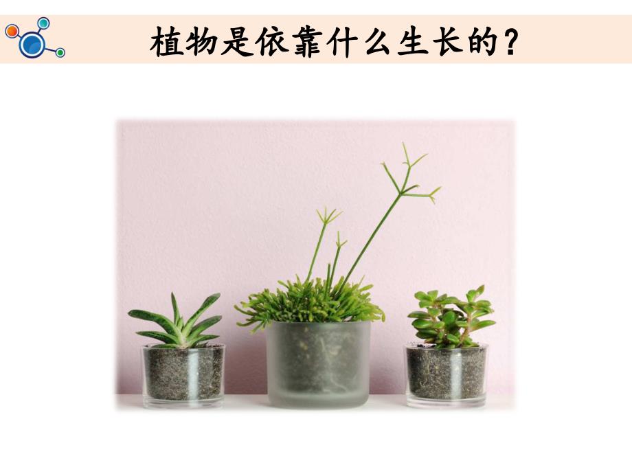 《土壤——动植物的乐园》教学课件教学内容_第2页