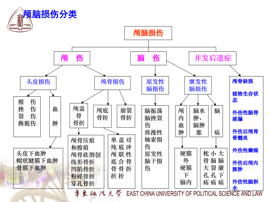 第5章2机械性损伤_第4页