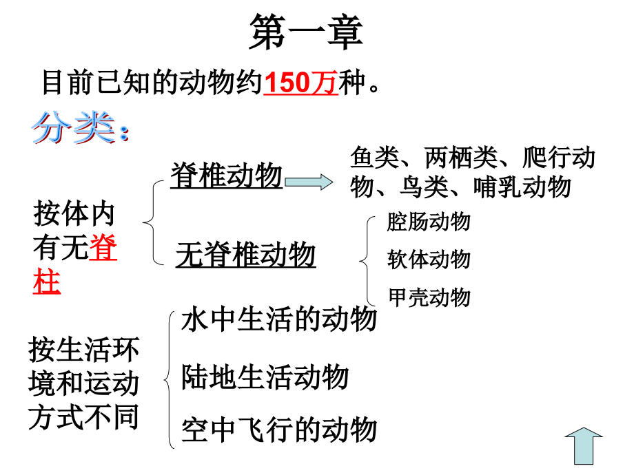 生物八上期末总复习课件_第3页