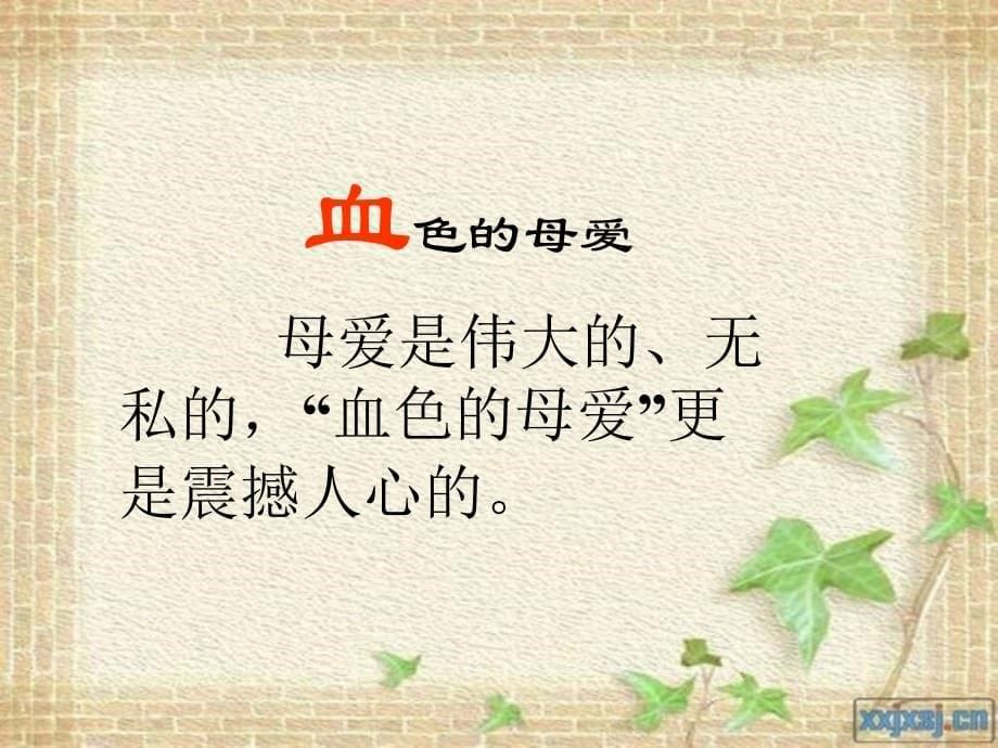 《金色的脚印》教学课件说课讲解_第5页