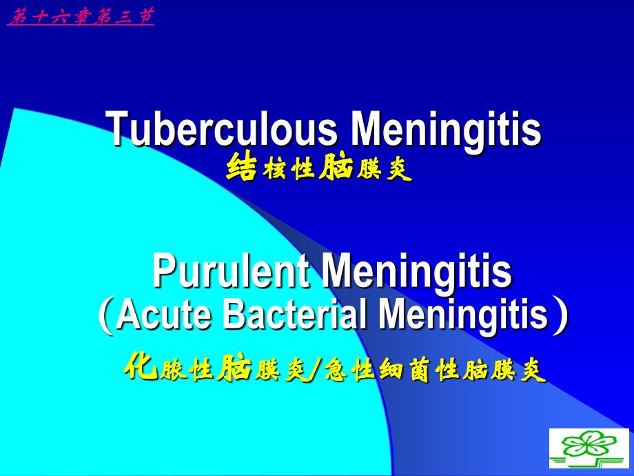 湘雅儿科精品课件-Tuberculous Meningitis_第1页