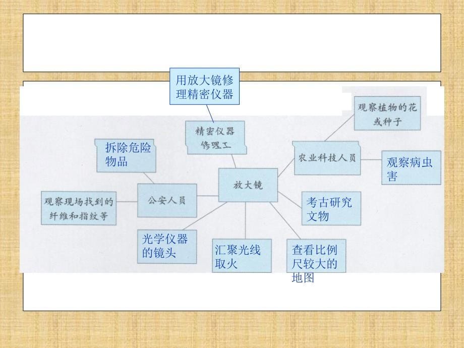 科教版六年级科学下册《放大镜》PPT精编版_第5页