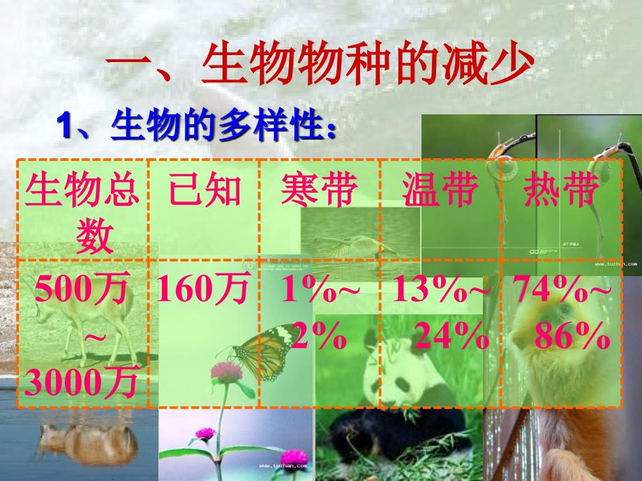 教科版思品八下《哭泣的自然》ppt课件2_第3页