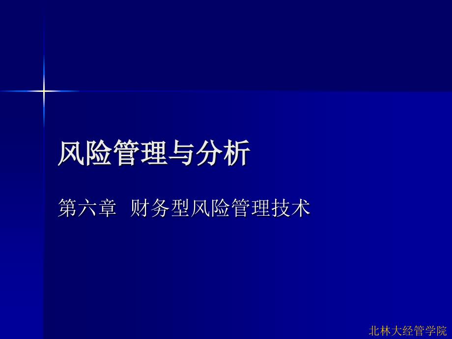 第六章 财务型风险管理技术_第1页