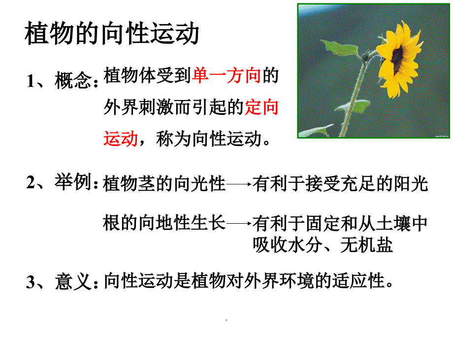 植物的激素调节PPT课件_第2页