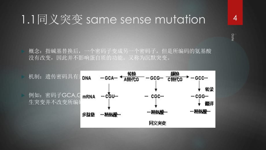 突变类型及生化基础PPT课件_第4页