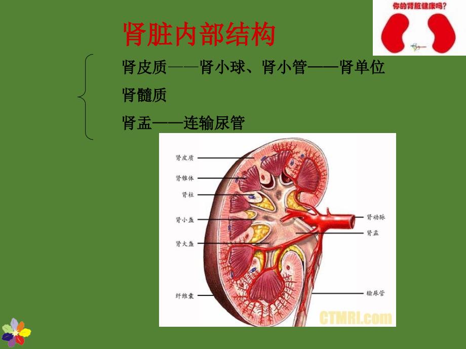 慢性肾衰竭患者的护理课件ppt_第3页