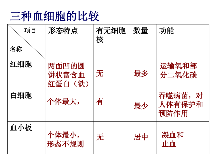 第三节 输送血液的泵-心脏_第3页