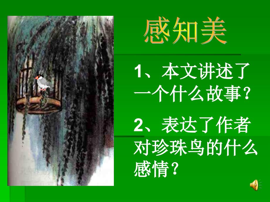 《珍珠鸟》教学课件.培训课件_第4页