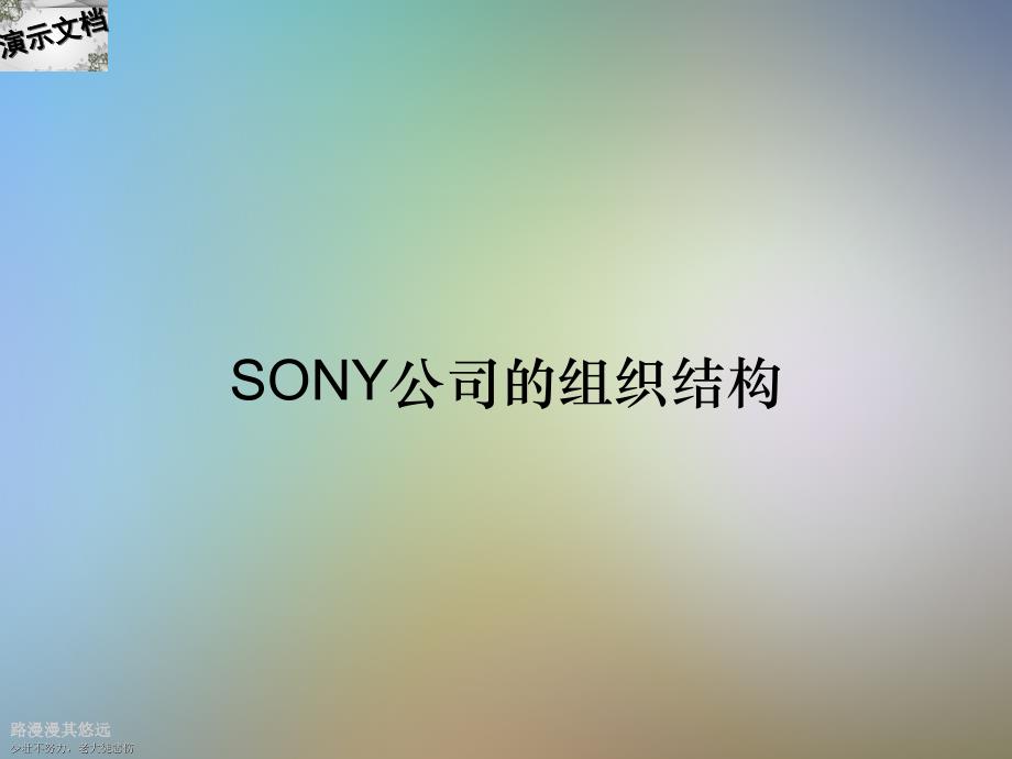 SONY公司的组织结构_第1页