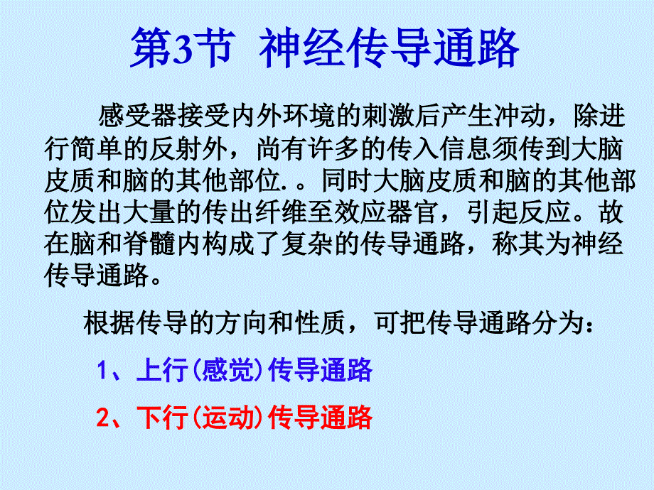 第5篇 神经系统 第2章 第3节 神经传导通路_第3页