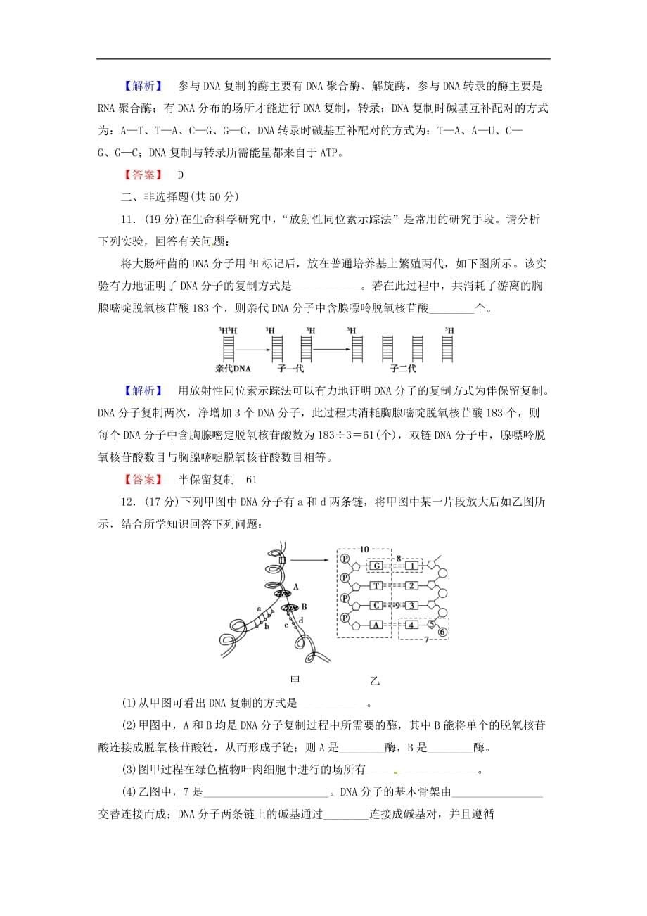 高考生物总复习 DNA分子的结构复制与基因的本质试题含解析_第5页