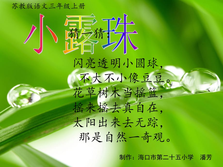 小露珠教学课件——潘芳上课讲义_第1页