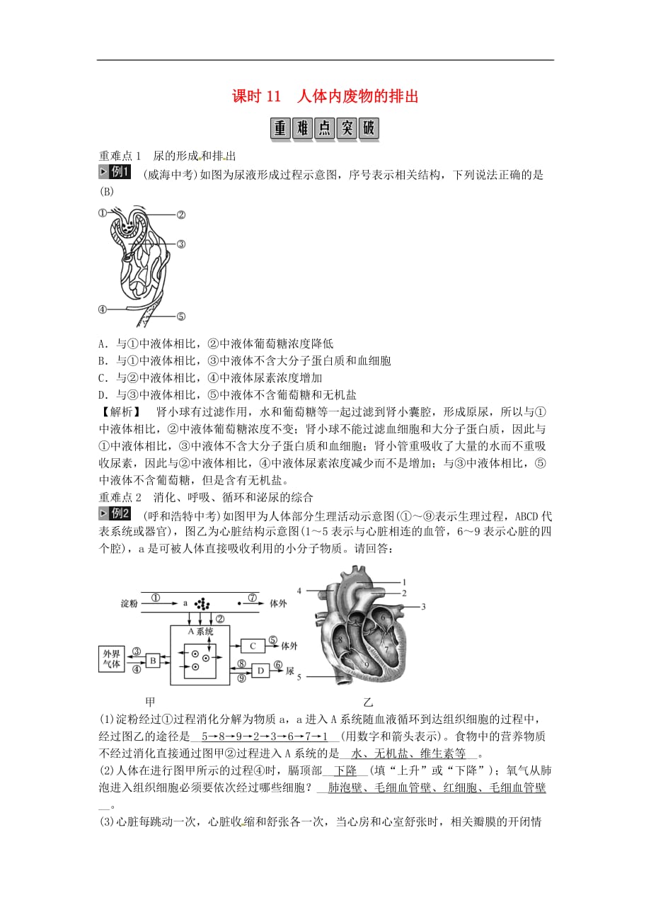 2019年中考生物总复习主题四生物圈中的人课时人体内废物的排出_第1页