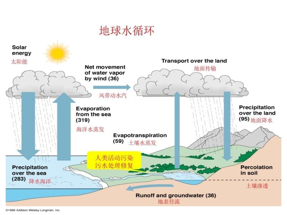 水环境治理与保护培训课件_第5页