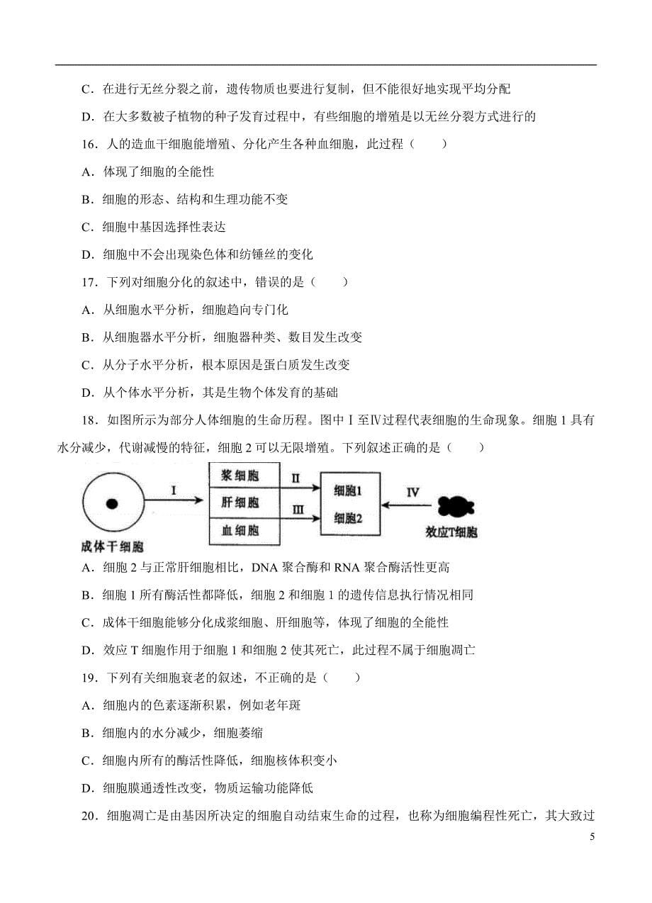 2019届高三生物一轮单元卷第四单元细胞的生命历程B卷_第5页