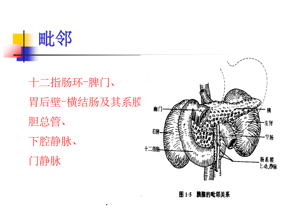 急性胰腺炎完整ppt课件_第4页