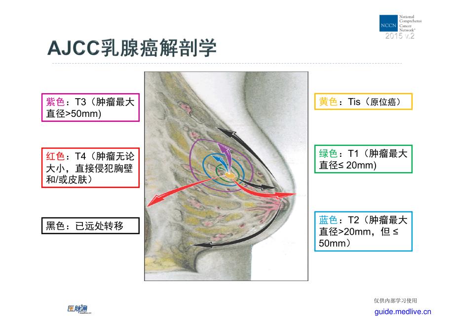 乳腺癌2015年NCCN中文版_第4页